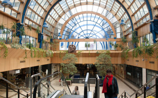 PLAZA AMERICA, C.C. CAMELIAS