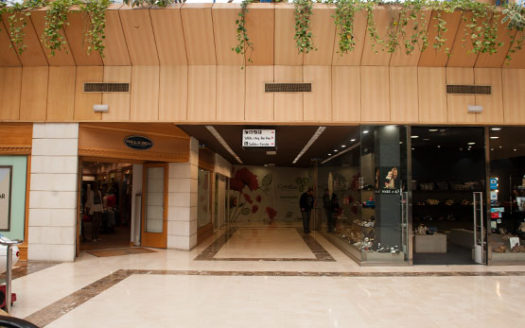 PLAZA AMERICA, C.C. CAMELIAS